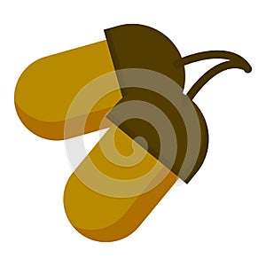 Oak nut icon, flat style