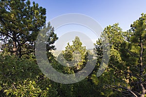 Oak Park in Summer, Whitewood, South Dakota