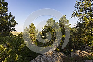 Oak Park in Summer, Whitewood, South Dakota