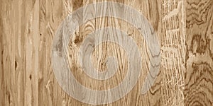 Oak parquet board. Wood texture. Vector illustration