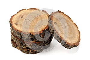 Oak split with growth rings and bark isolated