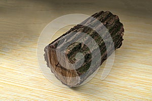 oak stump, log fire wood on white background