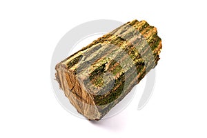 oak stump, log fire wood on white background