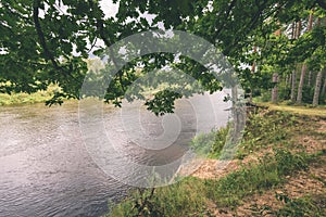 oak tree branches over summer river - vintage effect