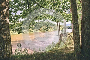 oak tree branches over summer river - vintage effect
