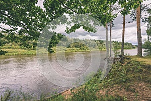 oak tree branches over summer river - vintage effect