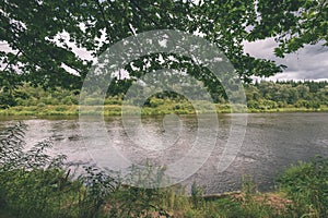 oak tree branches over summer river - vintage effect