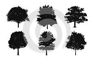 Oak Tree Clip art Silhouette