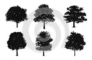 Oak Tree Clipart Silhouettes set