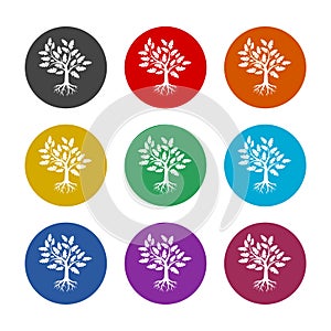 Oak tree color icon set isolated on white background