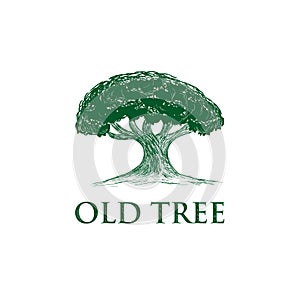 Oak Tree Concept Logo Template