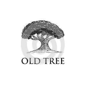 Oak Tree Concept Logo Template
