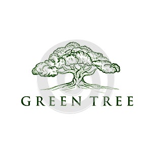 Oak Tree Concept Logo Template