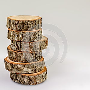 Oak tree cross sections, isolated. Copy space for text. Tree trunks close-up.