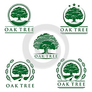 Oak tree eco green logo, logo design