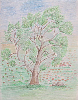 Oak tree