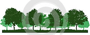 Oak Tree forest Silhouette Clipart set