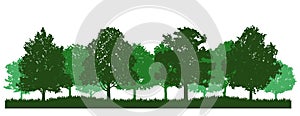 Oak Tree Forest Silhouette Scenery Clipart