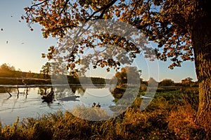 An oak tree hanging over the water of a river on a early summer morning