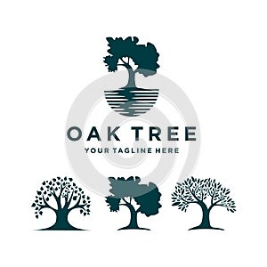 Oak Tree icon logo SET vector