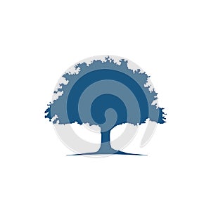 Oak Tree icon logo vector