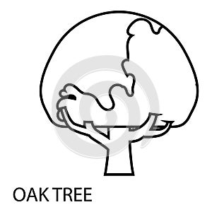 Oak tree icon, outline style