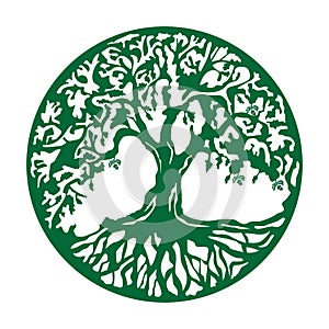 oak tree icon. Vector illustration decorative design