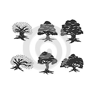 Oak tree illustration Concept Idea Set Sign