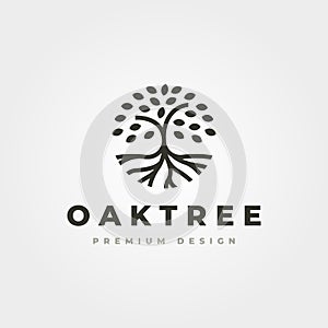 Oak tree line art nature logo vector design, abstract tree logo symbol