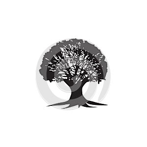 Oak tree logo design template