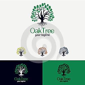Oak Tree Logo Design Template