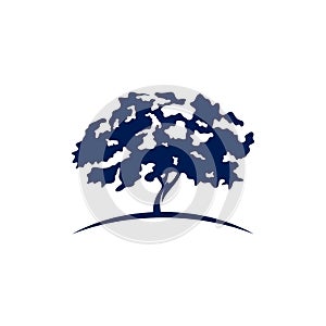 Oak Tree logo design vector illustration, Creative oak tree logo design concept template, symbols icons