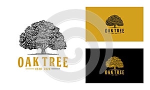 Oak tree logo design vector template