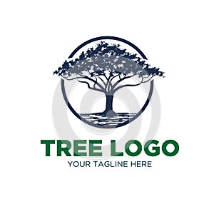 Oak tree logo designs