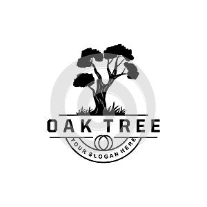 Oak Tree Logo, Nature Tree Plant Vector, Minimalist Simple Design, Illustration, Silhouette, Template