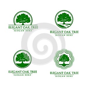 Oak, tree, logo photo