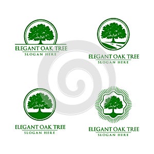 Oak, tree, logo