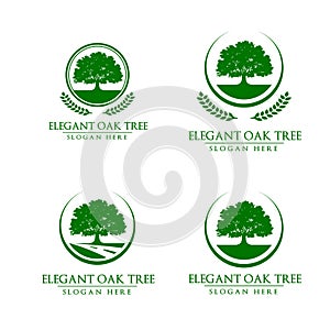 Oak, tree, logo photo