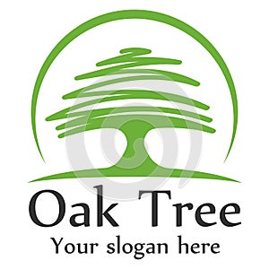 Oak tree logo template