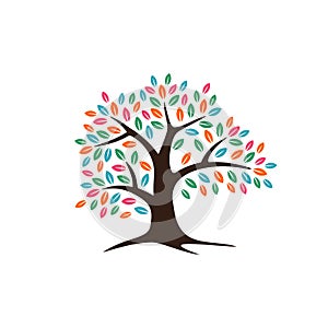 Oak Tree Logo Template Illustration Design. Vector EPS 10