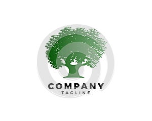 Oak tree logo template vector