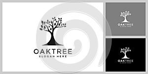 oak tree logo vector design template