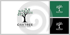 oak tree logo vector design template