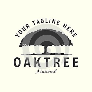 oak tree with logo vintage vector illustration icon template design photo