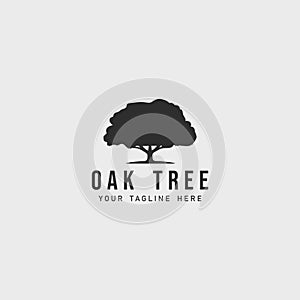 oak tree logo vintage vector illustration template icon design