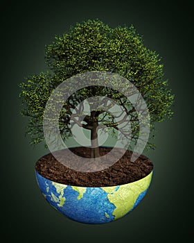 Oak tree planted on a half globe. Sustainability concept. 3D illustration