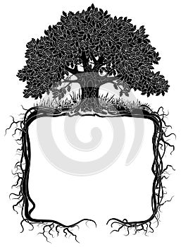 Oak tree with roots frame