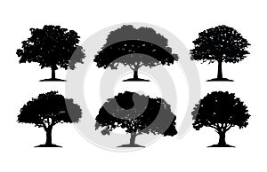 Oak Tree Silhouette Cliparts