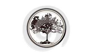 Oak Tree Template photo