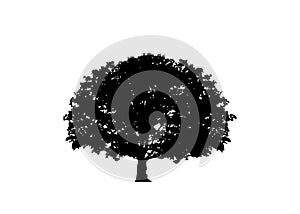 Oak tree vector, logo illustration. Vector silhouette of a tree isolated or white background